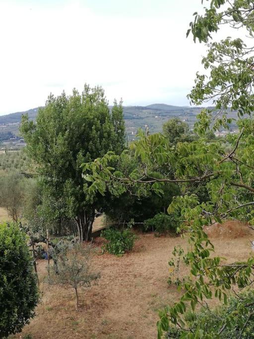 I Rosai Appartamento Sulle Colline Fiorentine バーニョ・ア・リポリ エクステリア 写真